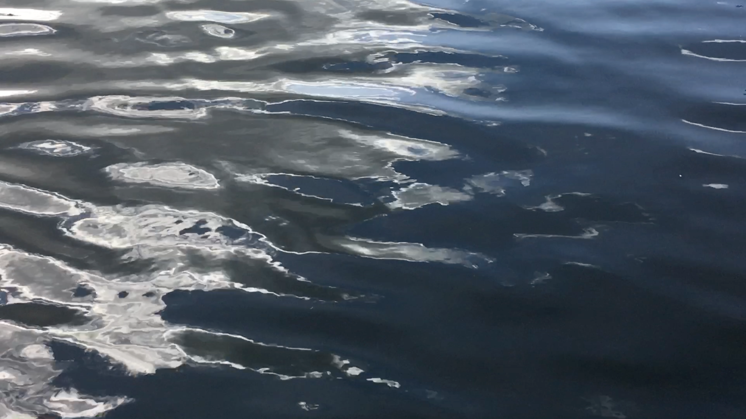 REBEKAH PRYOR Sealess 2018 video still 2.png