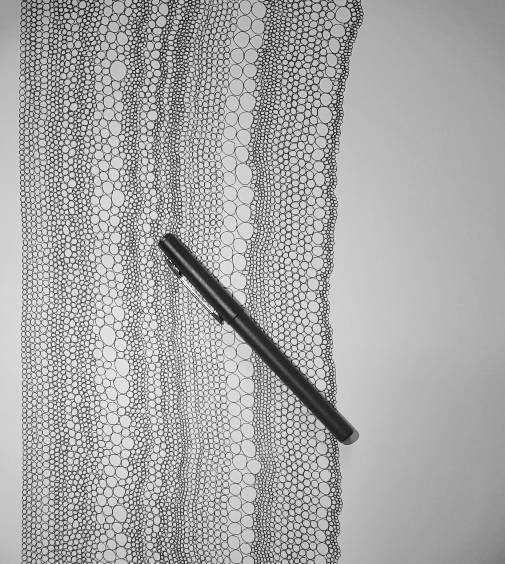 20200306_170542 2.jpg