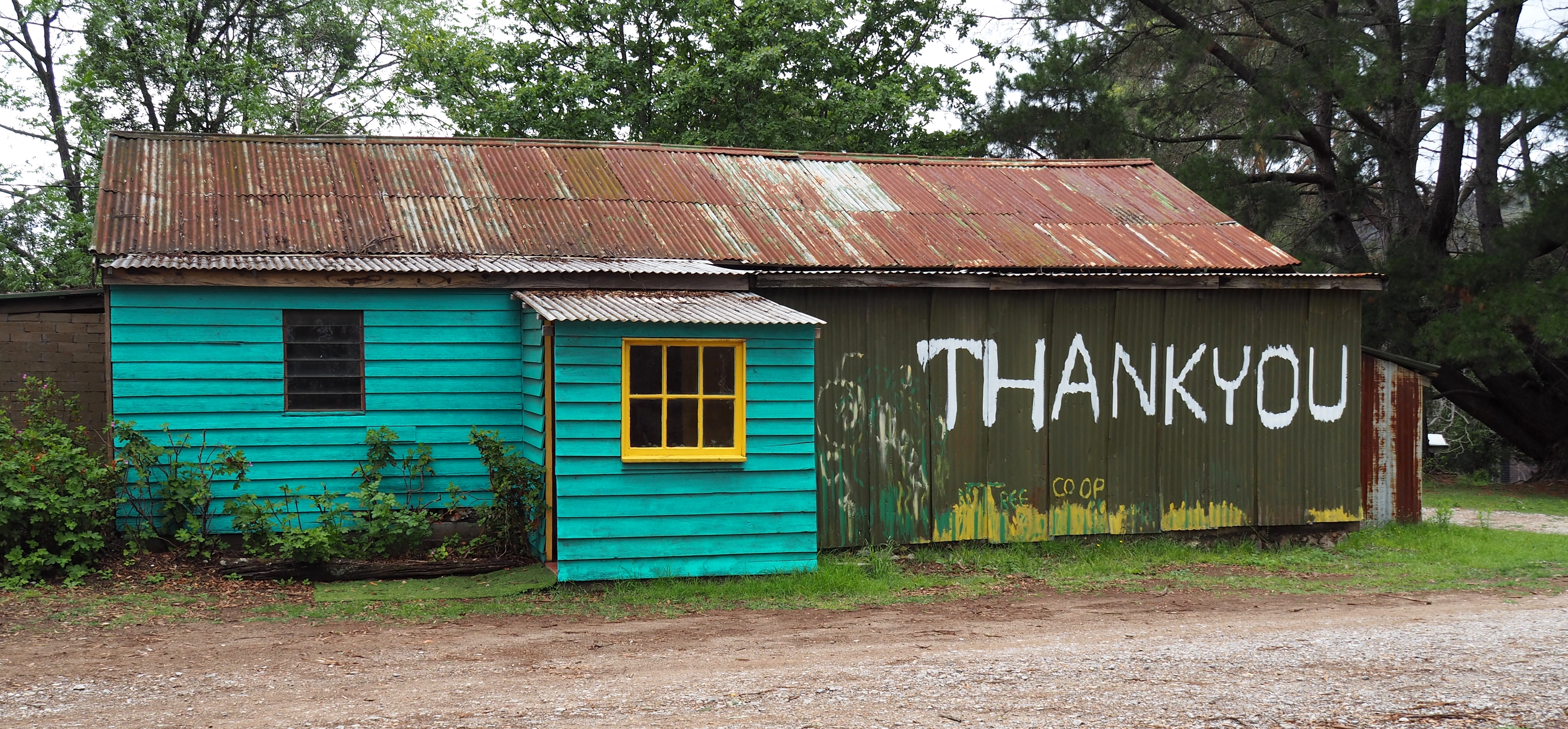 03 P2281852 'Thank You', W Tree, Feb 28, '20.JPG