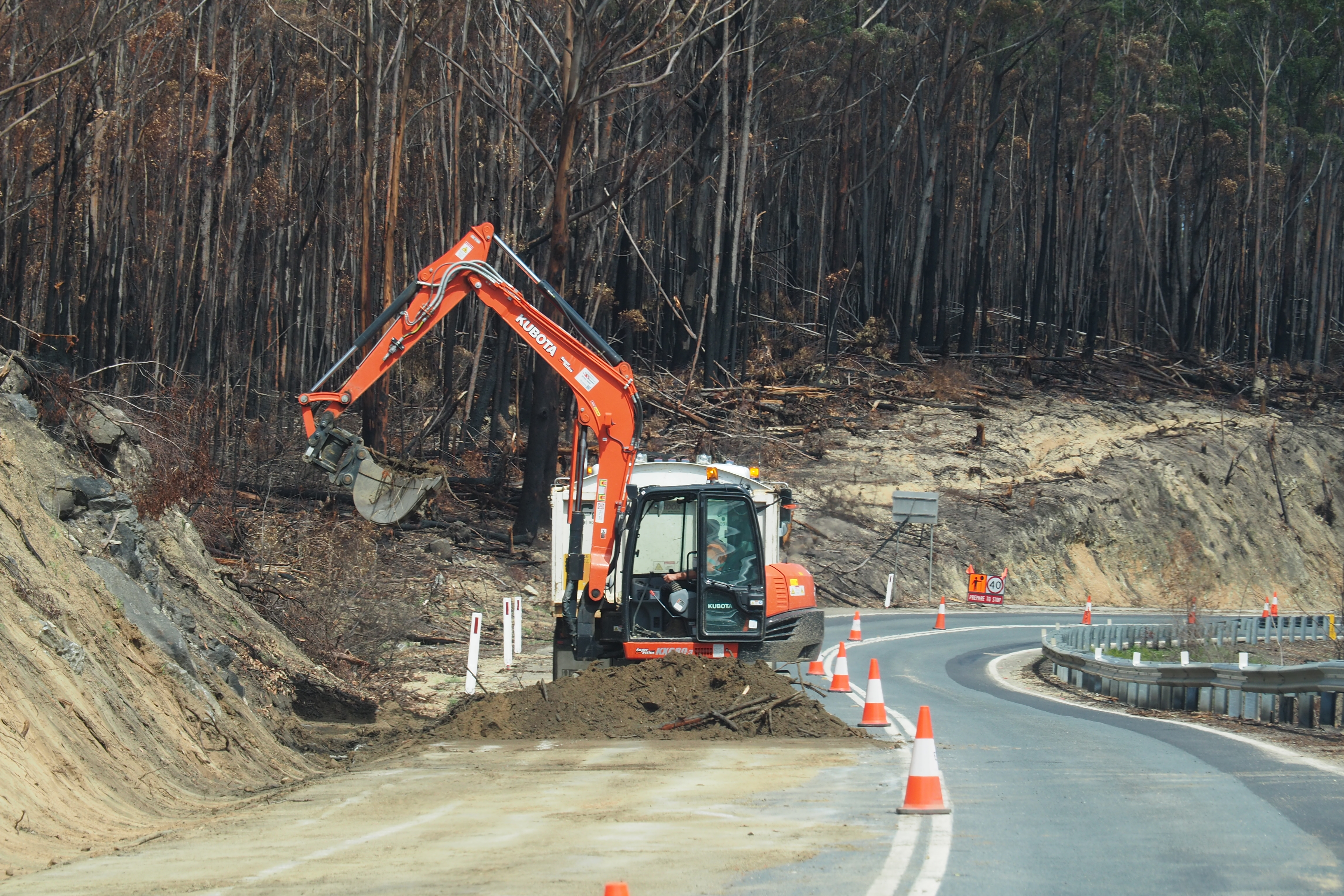 10 P2171382 Clearing Princes Highway.JPG